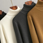 Alina Turtleneck Dress